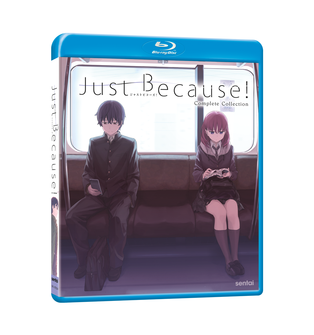 Just because! ジャストビコーズ DVD BOX 小説 - アニメ
